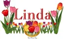 Linda Tulip Garden