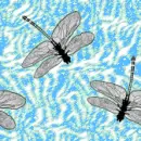 Dragonfly seamless background