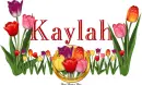 Kaylah Tulip Garden