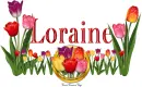 Loraine Tulip Garden
