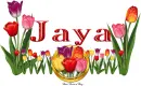 Jaya Tulip Garden