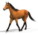 Running horse