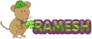 Ramesh Neon St. Paticks Mouse