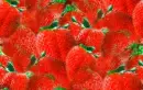 Strawberry seamless background