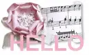 HELLO