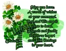 Irish Blessings ~ Shakela