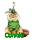 Lucky Cat ~ Connie
