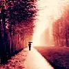Road