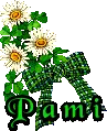 St. Patrick's ~ Pami