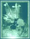 green flowers 