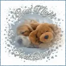 Good Night-Sweet Dreams