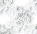 Frost - background