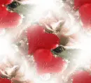 Heart - Background