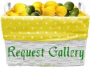 Lemon Request Gallery