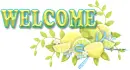 Welcome
