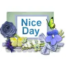 Nice Day