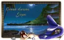 Ocean dreams. Jaya