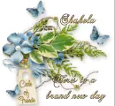 Brand new Day ~ Shakela