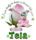 Teia