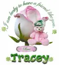 Tracey