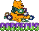 Winnie The Pooh  Gorgeous 