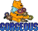 Winnie The Pooh  Gorgeous 2 