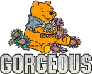 Winnie The Pooh  Gorgeous 3