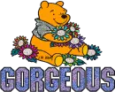 Winnie The Pooh  Gorgeous 5 