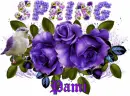 Glitter Text Â» First Names -Pami