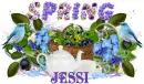 Glitter Text Â» First Names -JESSI