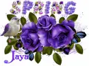 Glitter Text Â»  -Jaya