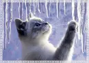 Thaw