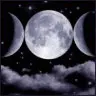 Wicca334