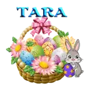Tara