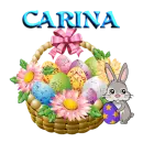 Carina