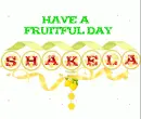 FRUITFUL DAY - SHAKELA