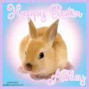 Easter - Ashley