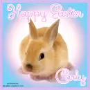 Easter - Carly