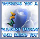 Tuesday