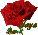 Jaya