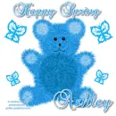 Spring - Ashley