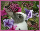 Easter - Ashley