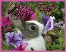 Happy Easter
