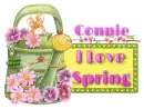 I Love Spring ~ Connie