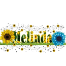 Melinda -sunflower
