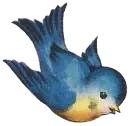 Blue Bird