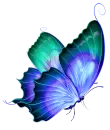 Blue Butterfly