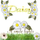 Daisy -A smile lights up the day