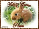 Easter - Pami