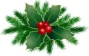 Christmas Holly